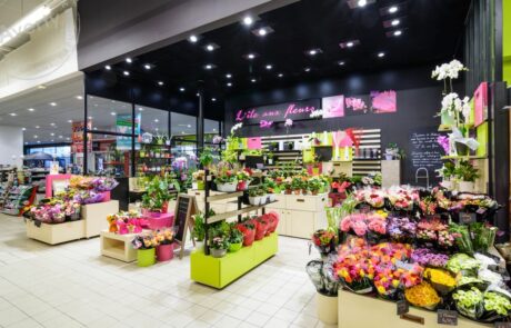 zone fleur gms